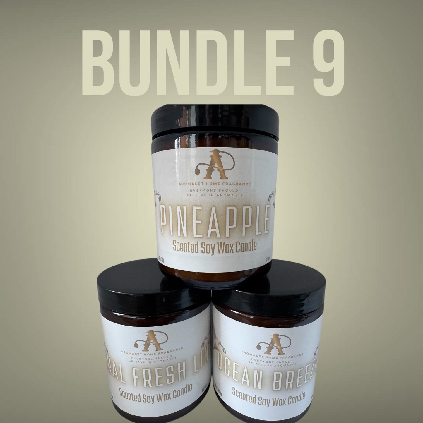 Aromaset Home Fragrance BUNDLES - Mix of our Home Fragrances
