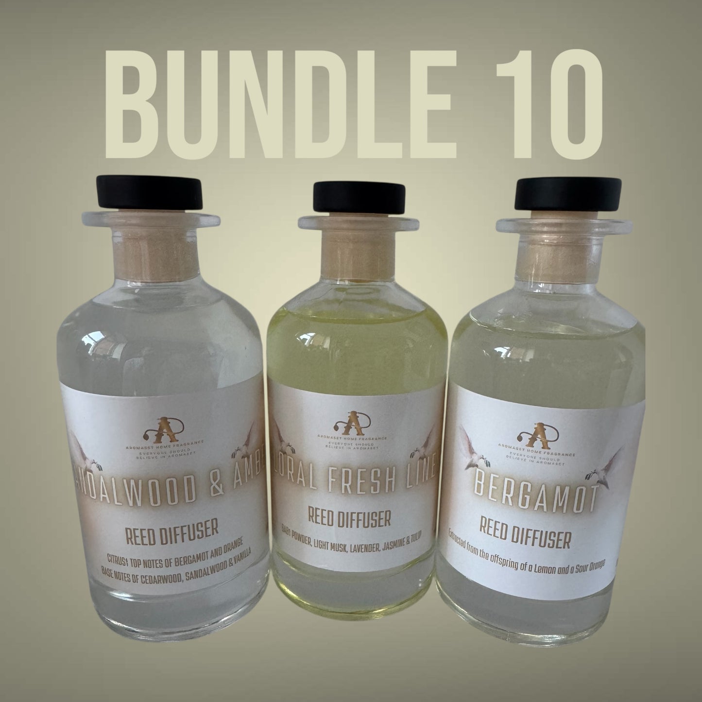 Aromaset Home Fragrance BUNDLES - Mix of our Home Fragrances